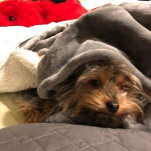 Meet your Posher, Eliene